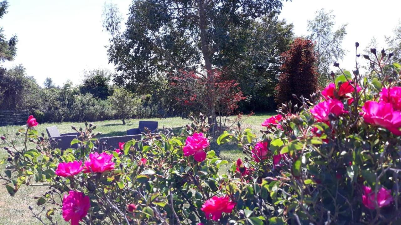 Auberge Aux Marais Montmartin-en-Graignes Екстериор снимка